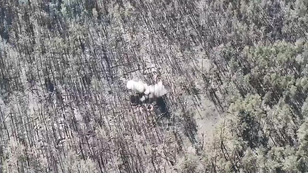 ������ �������: 2�9 "����" �������������� ������������� ����������� ����������� � ������� ��������������� ������� ���� � ��������������