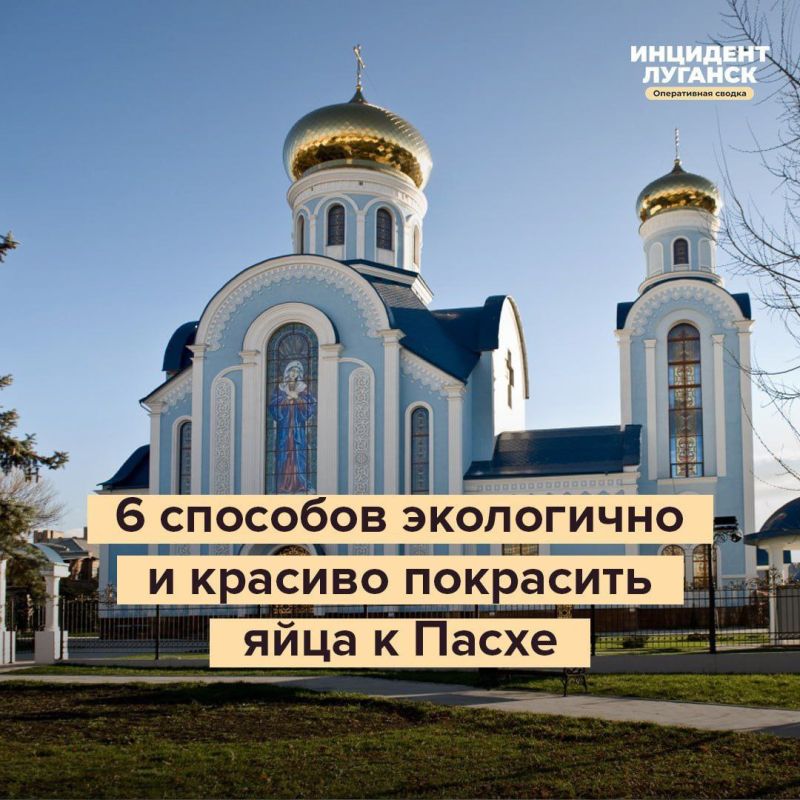 ������, ���������� ������ �������� 6 �������� ����������� � �������� �������� ���������� ���!