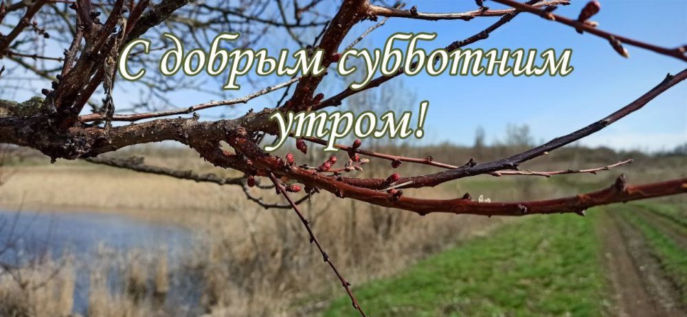 ������� �������, ����� ���� �������� ����� ������� � ������ ������� � ����� ������ � �������
