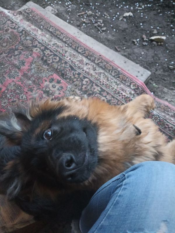 �������� ���������: ��� ����� ������� �������