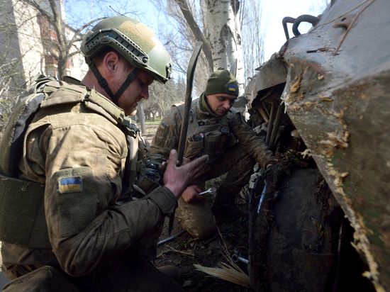 �������� ������� �������� ��������������� ����������� ���