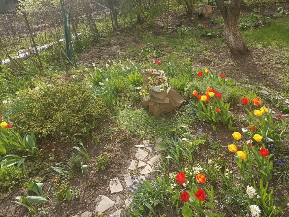 �������� ���������: ���� ���������� ��� � ������� ������� ���������������� ���������� ��������������� �����