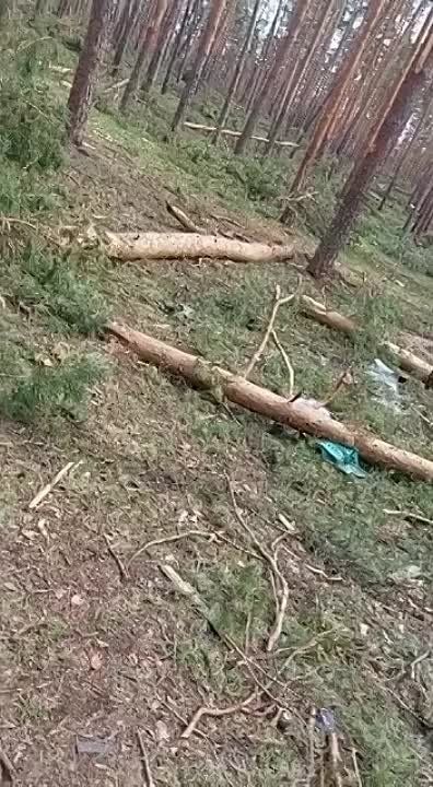 ������ �������: ����� ���������� ������� � ������� ��������� �������� ��������� ����� ��� ������������� ����� �������� � ������� �������