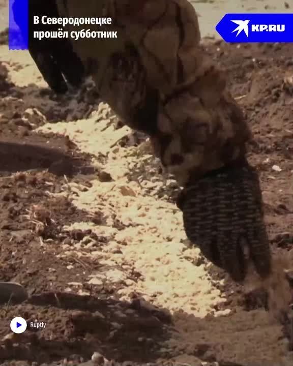 ��������� � �������������