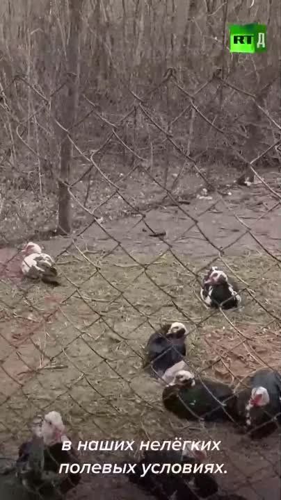 ������ ������ � ���. �� ����, ��� � ��� � ������, �� � ��� ������