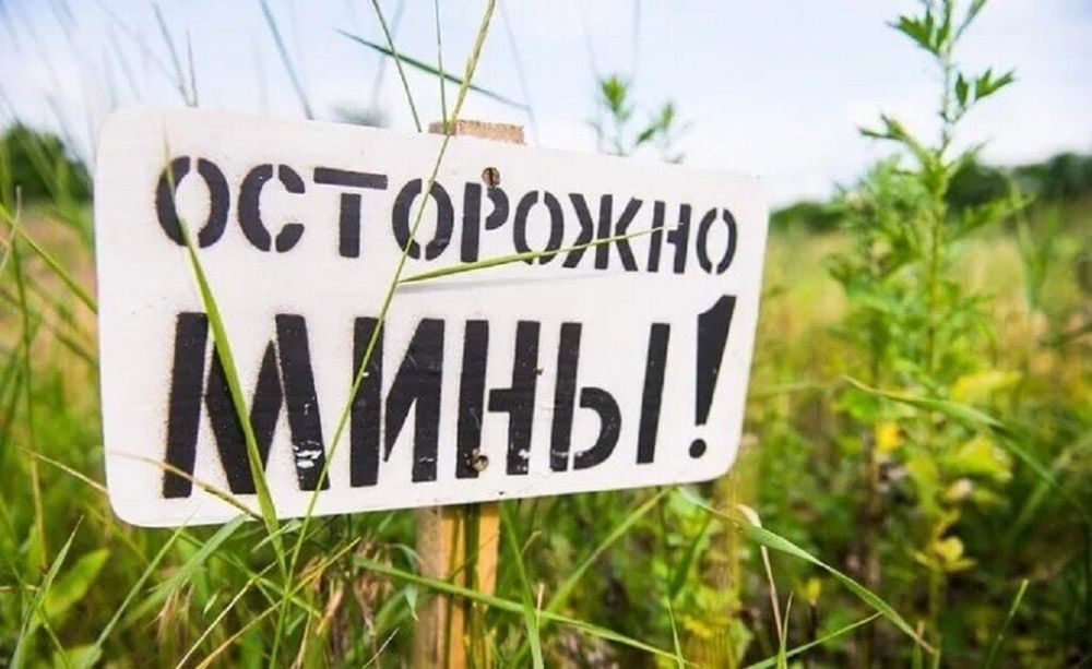 ����� 20 ���. �� �����, ��������� ��� ������������� � �������� ��������� � ���, ������� �������� �������, ��������� ������� ��������� ��������� � �������������� ���������� ������� �������, �������� ����