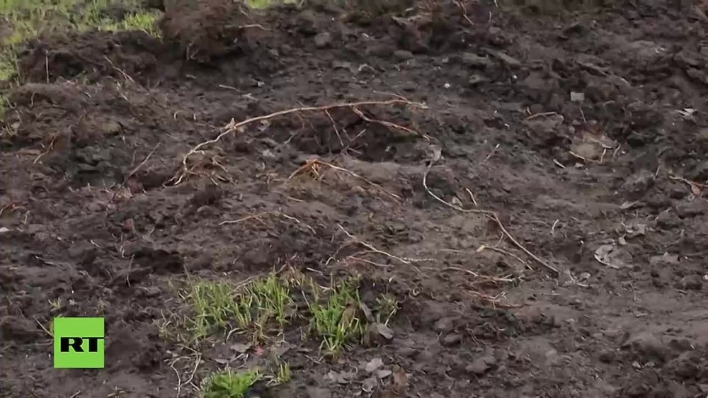 ������� ���������: ����� ��� ��� ����? ��-�� ����, ��� �� ��������, �� ������? � ����? ������� ���� ���?�