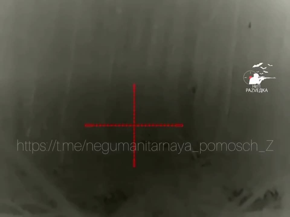 ����� �����: ���������� ������ ����������� ������