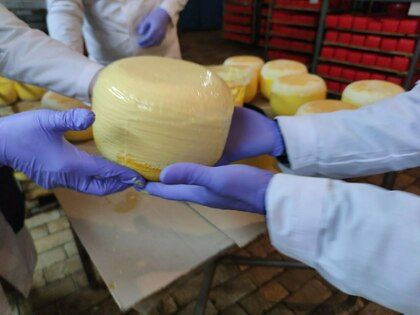 �������� ������� ���������� ������ ����������� ��������� ����� �� ����� ����������