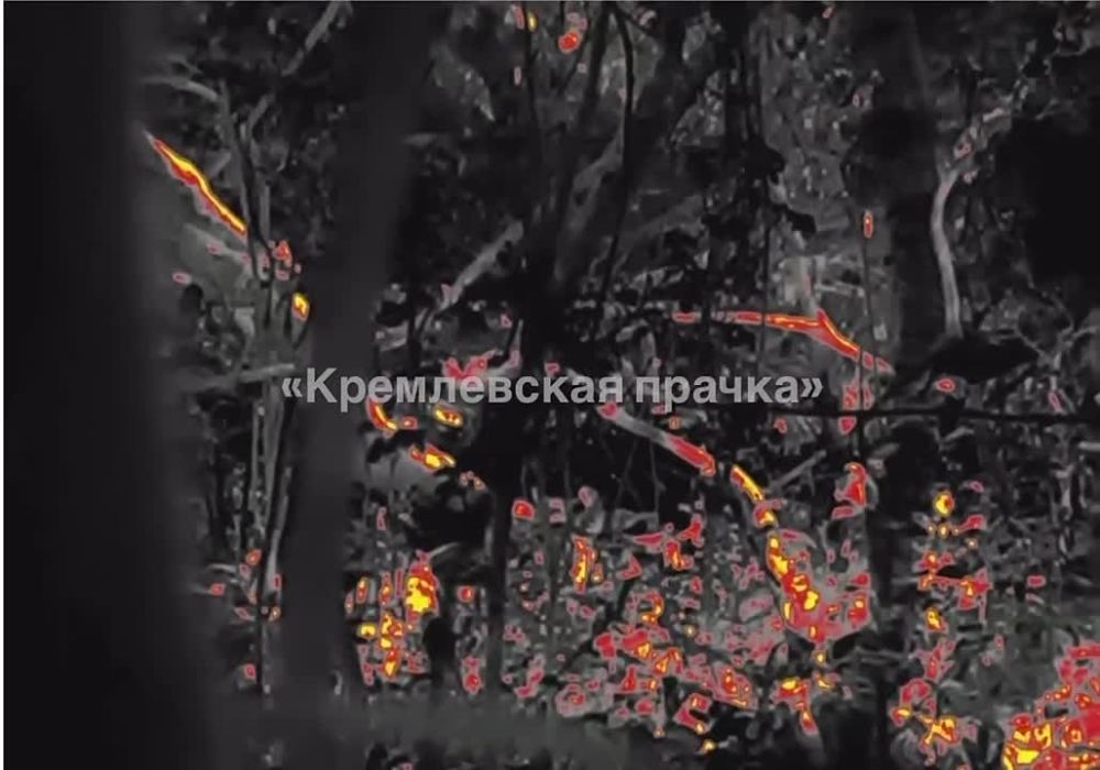 �������� � ���������, �������� 3-� ��������� ����������� ���������-���������� �������������� ������ �������� ������� ������������ ����������