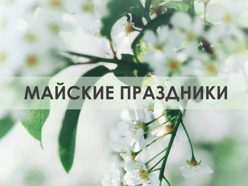 ��� ����� �������� �� ������� ���������