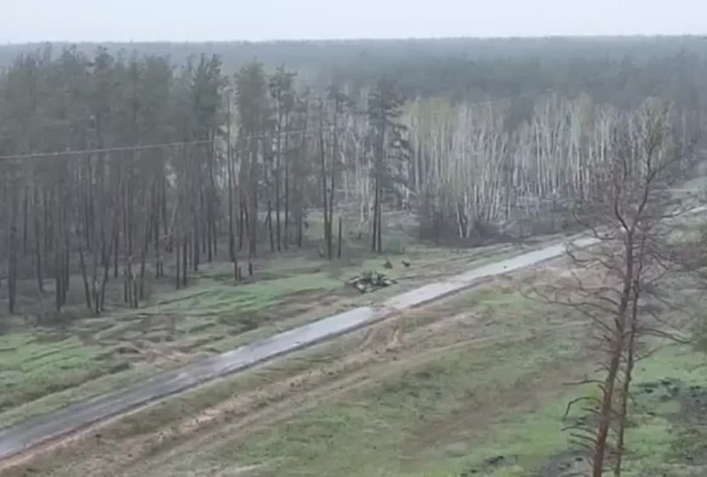 ������ ����������: ����� ���� ������������ ��� ���������