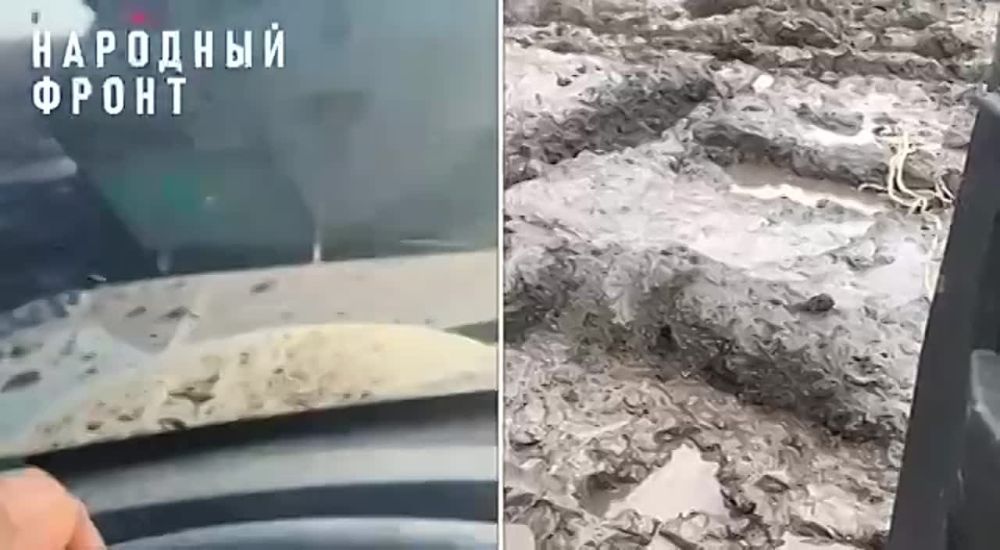 ����� ����� �� ������, ���� ���������� ����