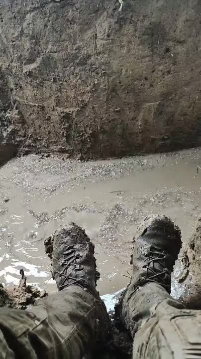 ������ �������: ���������� ������� �������������� ����� � ������ � ����������� ������� � ��������, ��� � ����� �������� ����� �� "����� �����"