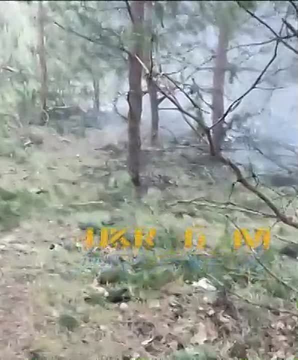 ��� ����� 2 ������� �������������� ��� � ���������� ������ ������������� �� �� � ����� ���������