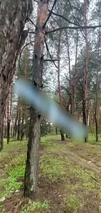 ������ ������� ��������� �� ���������� �������
