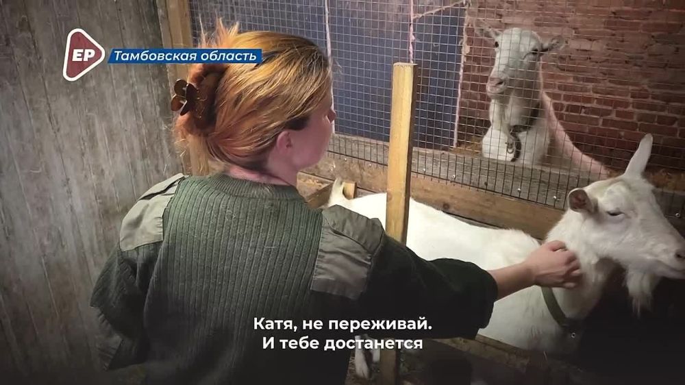 ����� ����������: ������� - �����������, ������, ����� � �������������