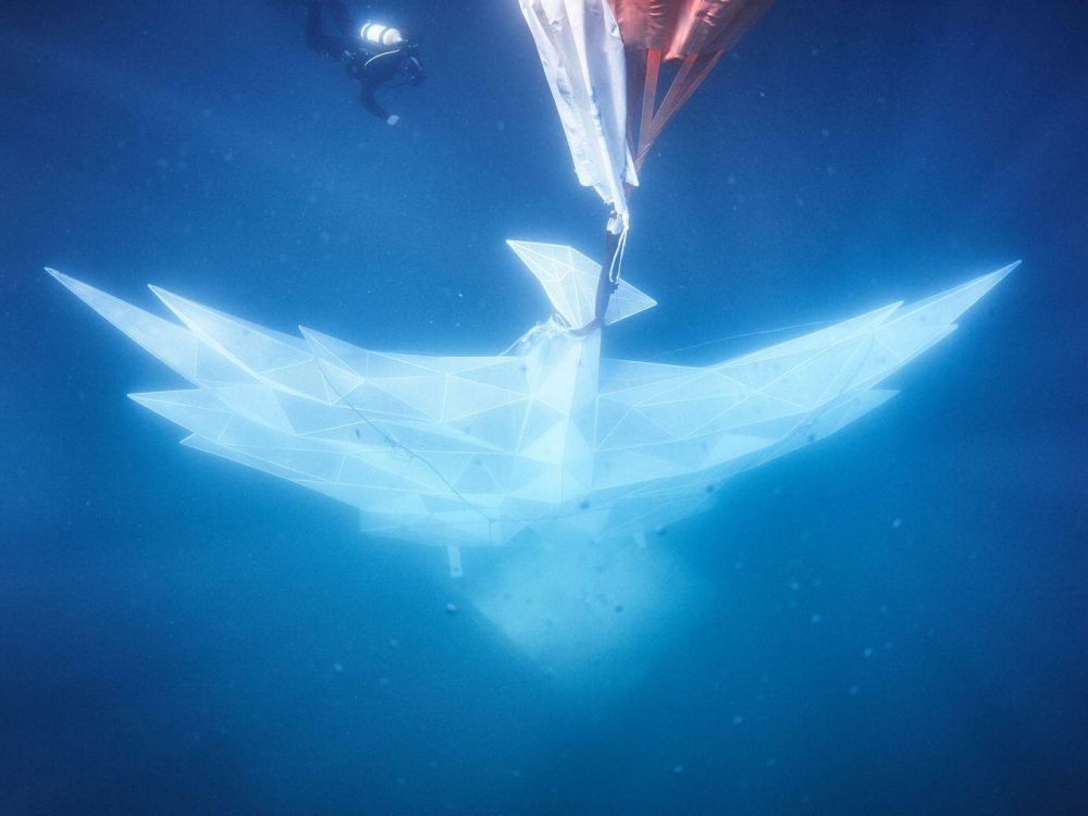 ������� ������: �� ������� ����� ������