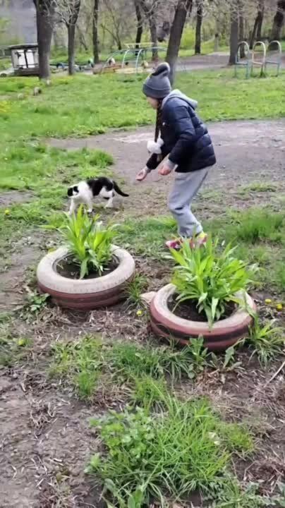 ������ ������ ������ ����