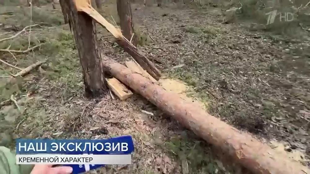 �������� � ������ ����� ������ � ���� ��� ��������� �� �������� ����� 4-� �������