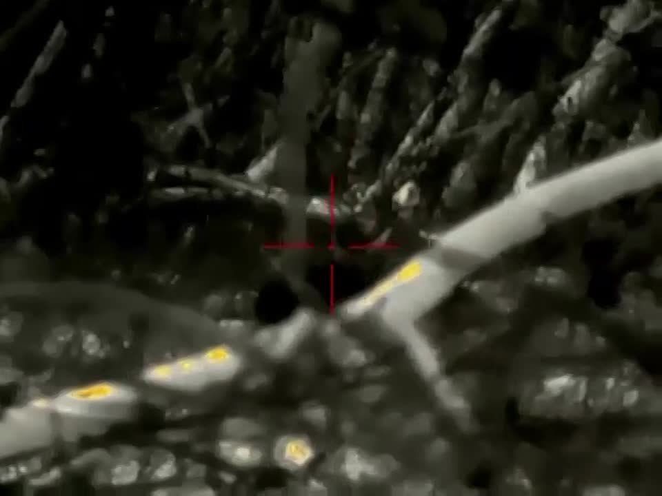 ������ �������: ������� ��� ���������� ����� �� ���������� �����������