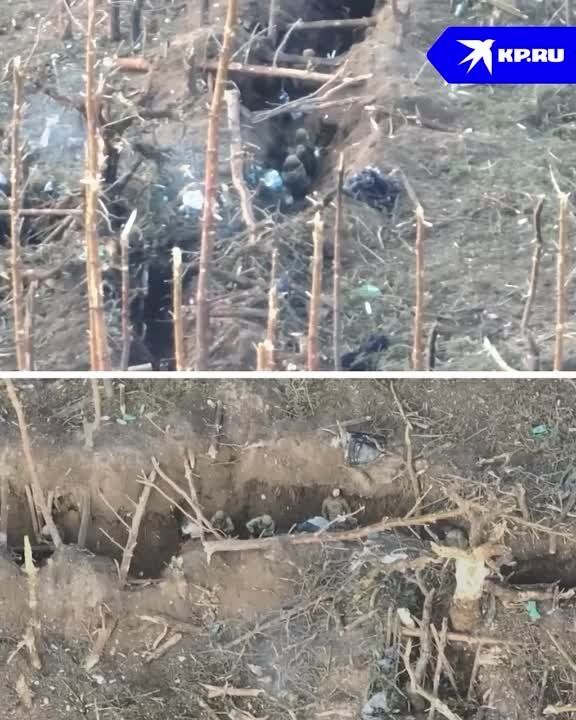 ��������� ���, ������� �������������� �������, ���� ��� ��� ����������, ����� Telegram-������ @sashakots