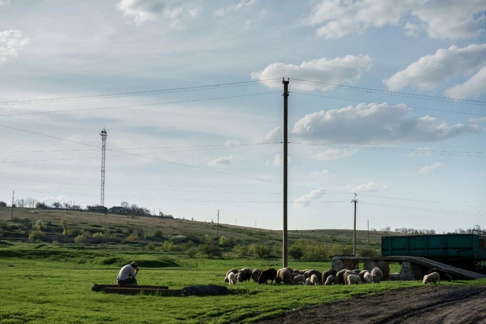 ����� ��������: ������ ����������� ������ � ������������� ���������� ���