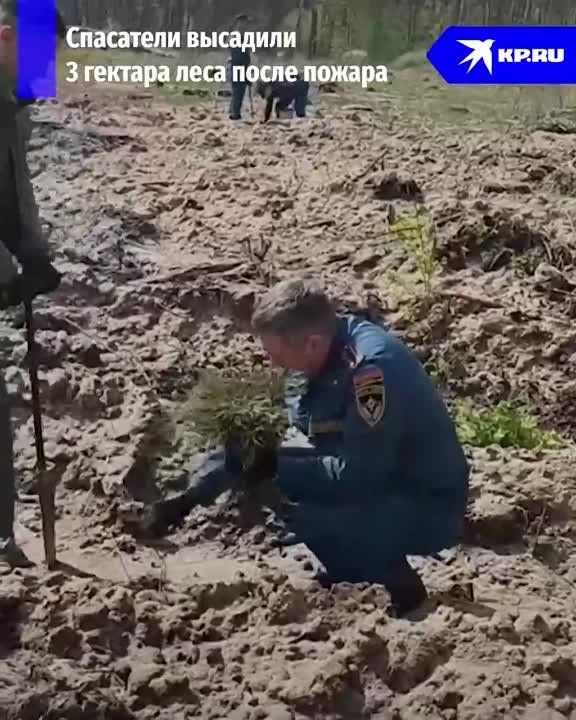 3 ������� ���� ��� ���. ������ �������� �������� ��������� ����� ������������ ������