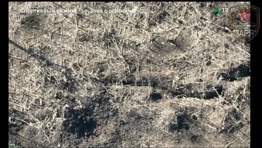 ������ �������: ������ ������� �������� �� ��������� ����������� ������� ��������� ������