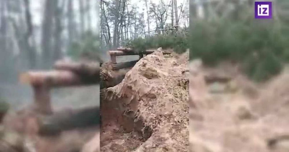 ���������� ������� ���� �� ����� ���� ��� ���������