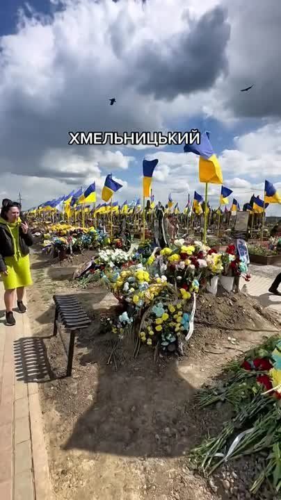 ������ �������: ������������� ������������
