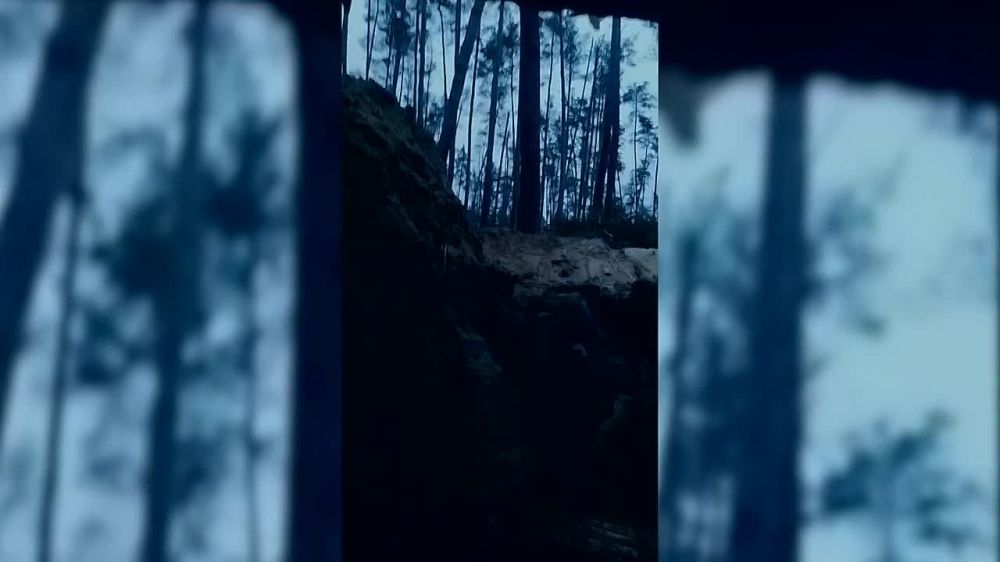 ������� ��������: "������ � ����". ���� � ���� ��� ��������� �� 12 ������