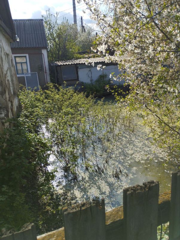 �������� ���������: ��������� ������ ������������ ����������! ��, �� ����� �������, ��� ���� ���� �������� � ������� ������!...