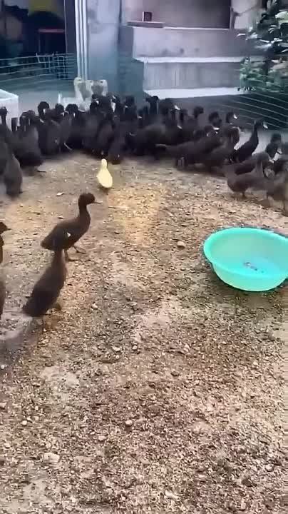 � ���� � ���� ���� ���� �� ��-������ ������