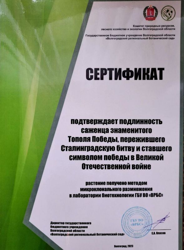 �������������� ������ ������ �������� � ���