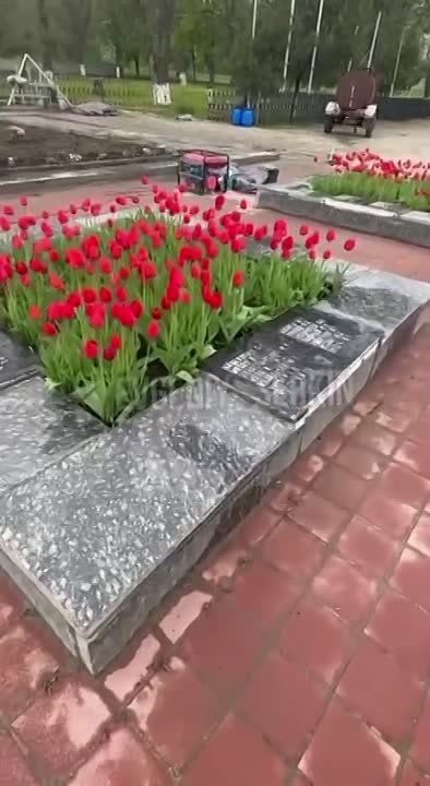 �������� �������� ����������� ������������� �� ��� ������
