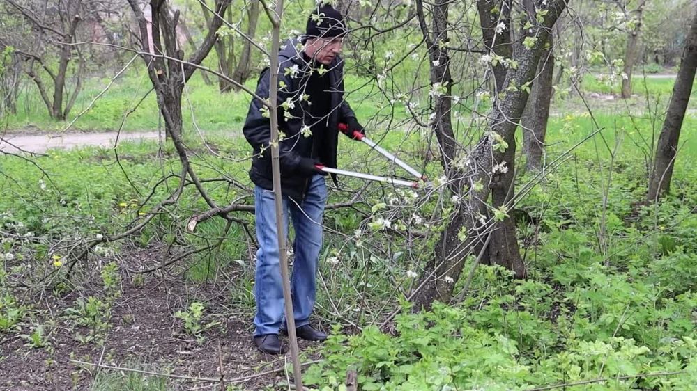 ������ ��������: ������ �� ��������������� � ������� ����� ����������