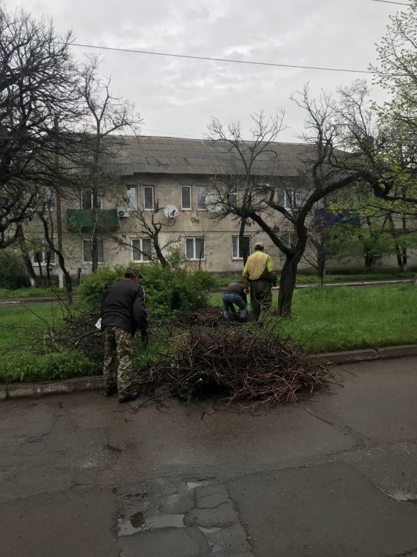 �� ���������� ����� ���� ����� ��������� �������� ���������� ������� ��������� 29 ������ �� ���� ��������� �������� ���������� �������� �������� ����������