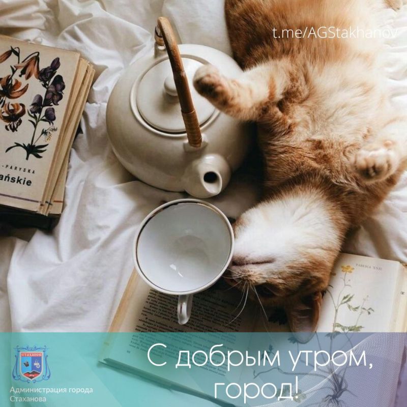 � ������ ��������, ������