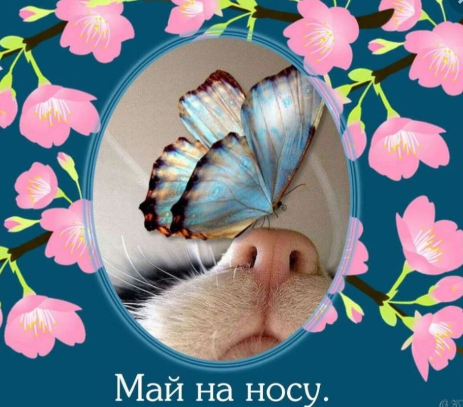 ������� 30 ������ - ��������� ���� ������