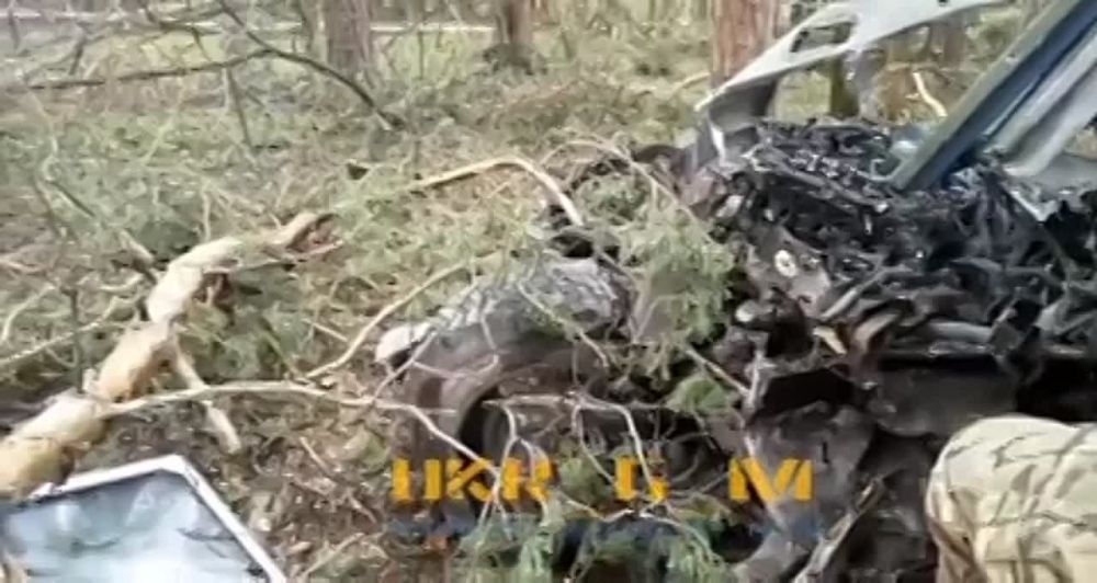 ��� ������������ ���������� ���������� ������������� � ������ ���������