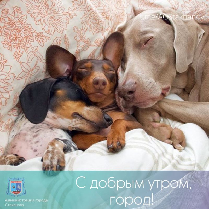 ����������� - ��� ������ � �������