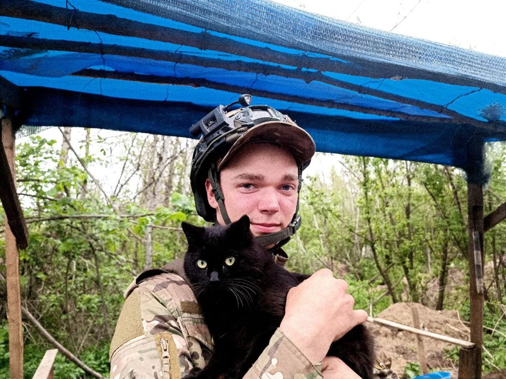 ���� ���������: �������� ׸����.. ����������� �����