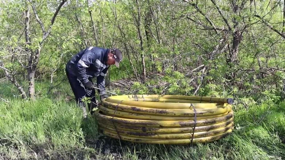 ������ ��������: ���������� � �������� ������������ �� ��������������������������