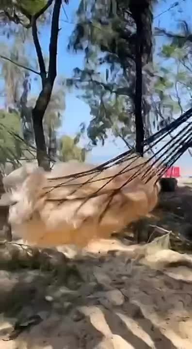 ���� ��������� �������. ���� �� ���������..