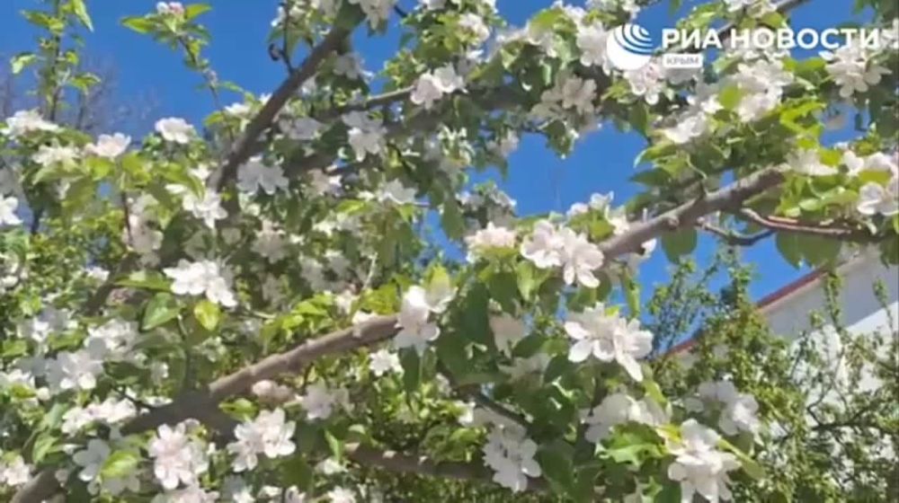 ���� ����: � ��������� ����� ����������� �������� ���������������� �������� �� �������� ��������� � �������������� � �������