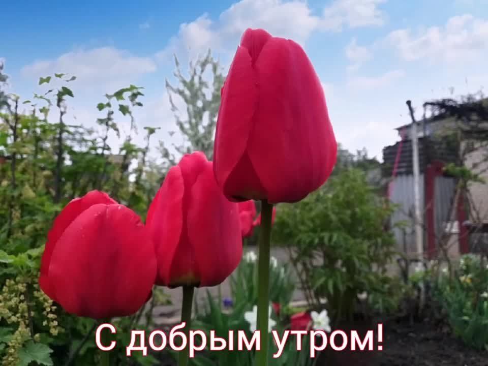 ���� ��� ������� ��� ��������, ���������� � �������