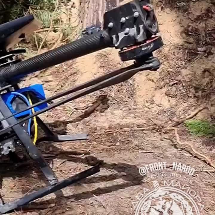 �������-���������, ���� ������ �����