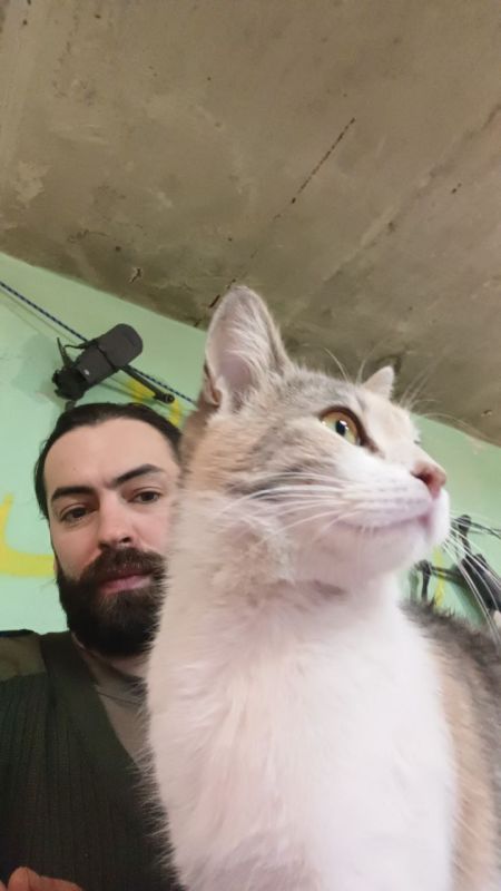 ���� ���������: �����, ������� ����������. �������, � �������� ������, ��������� ����-���� ������������� TF SURICATS, ���� ������� ������� ���? Ÿ ����� ������