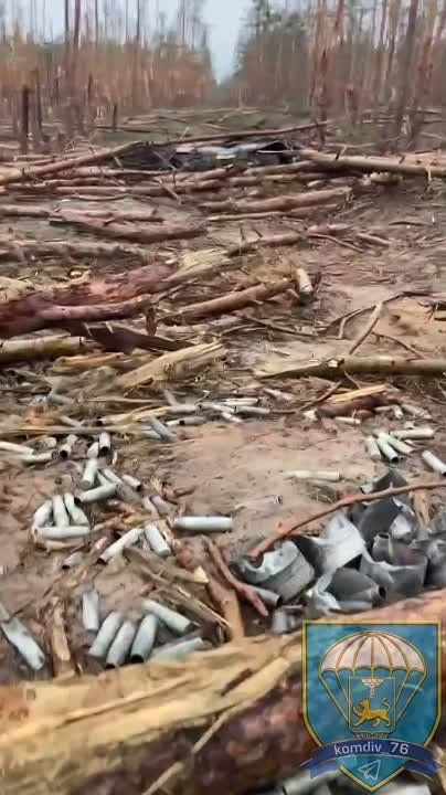 ����� �����: � ���� ��� ���������, ���� ����������� ��� �������